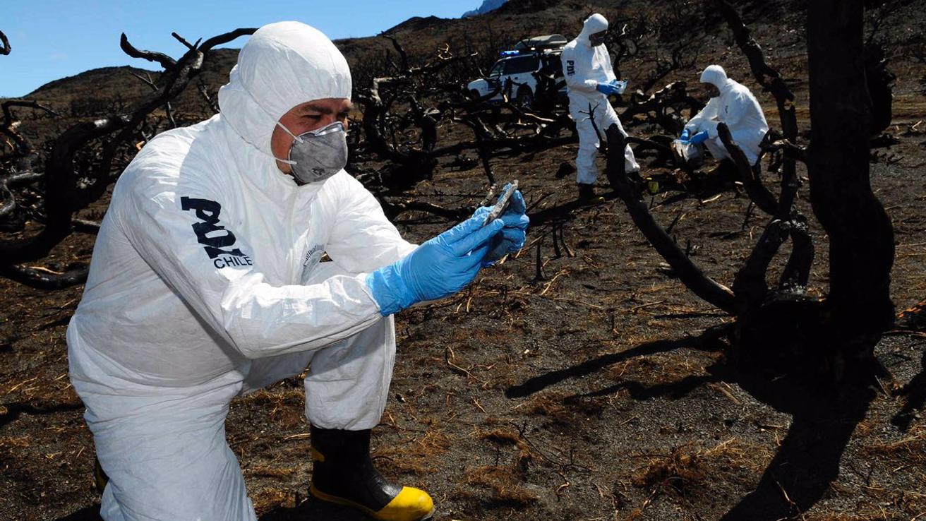 Provocar incendios forestales es un delito