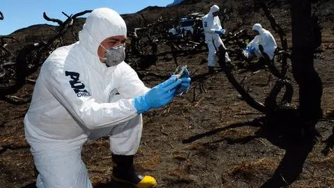 Provocar incendios forestales es un delito