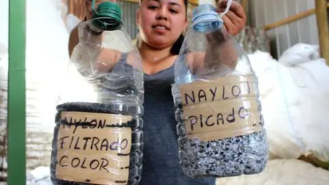 Quillón se graduó en medioambiente