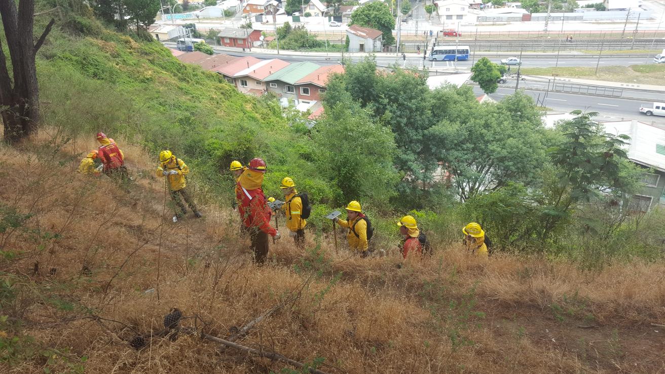 47 puntos de riesgo de incendios forestales existen en el Biobío