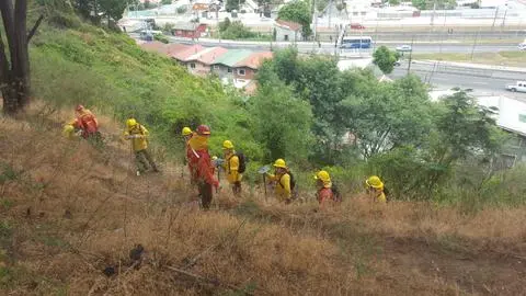 47 puntos de riesgo de incendios forestales existen en el Biobío