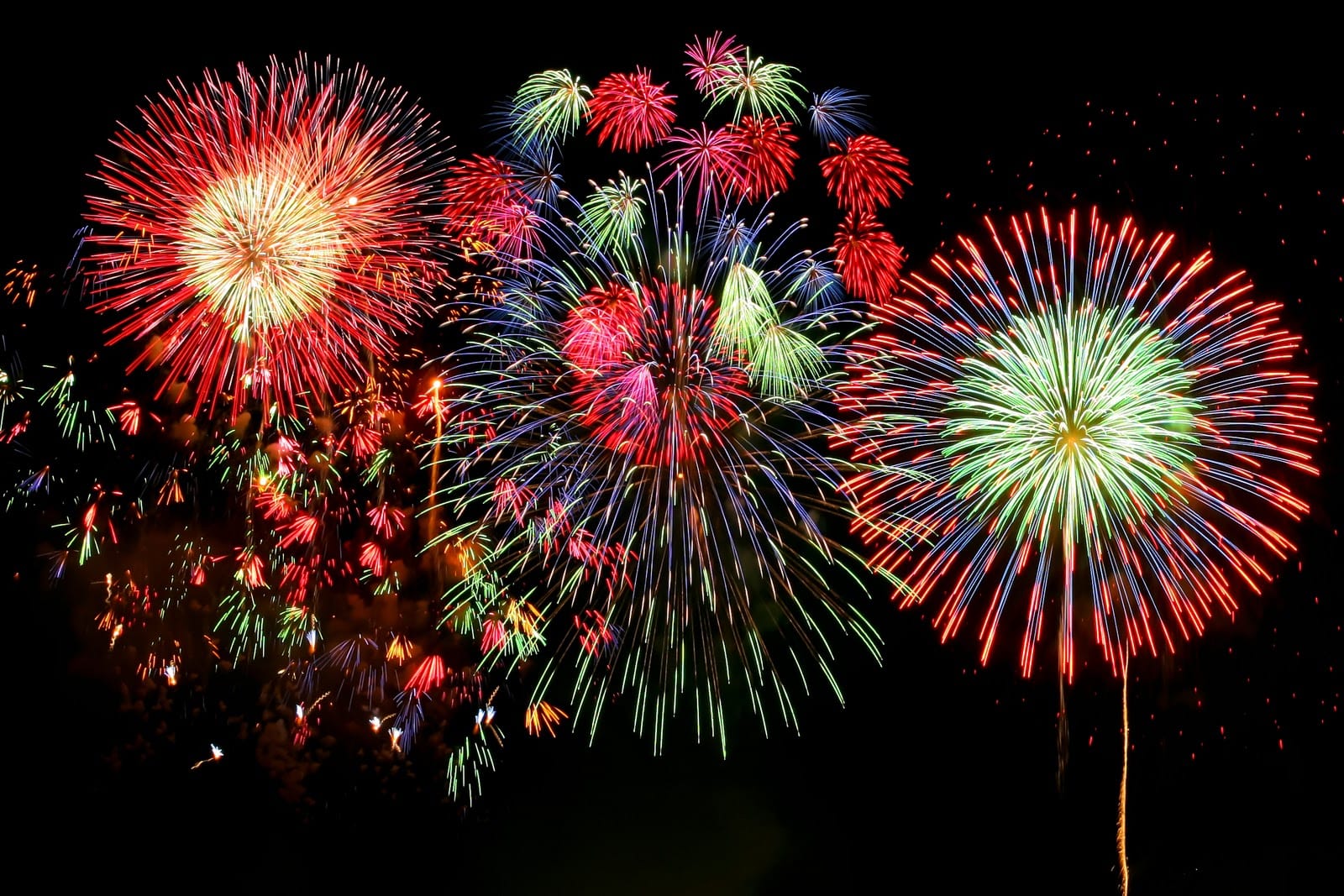 Anuncian desestresante para animales en fuegos artificiales de Concepción