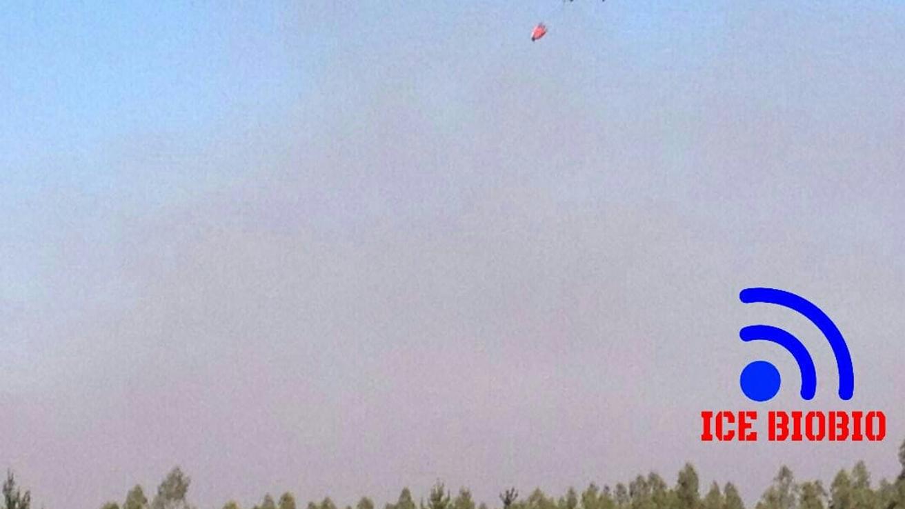 Incendio forestal afectó a vecinos en Talcahuano