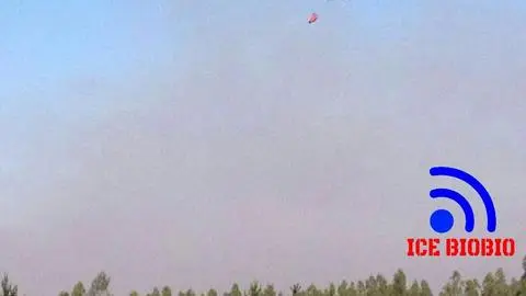 Incendio forestal afectó a vecinos en Talcahuano