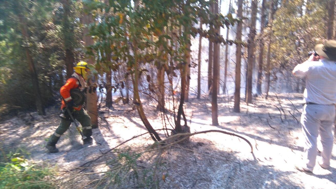 Decreta Alerta Roja en Concepción
