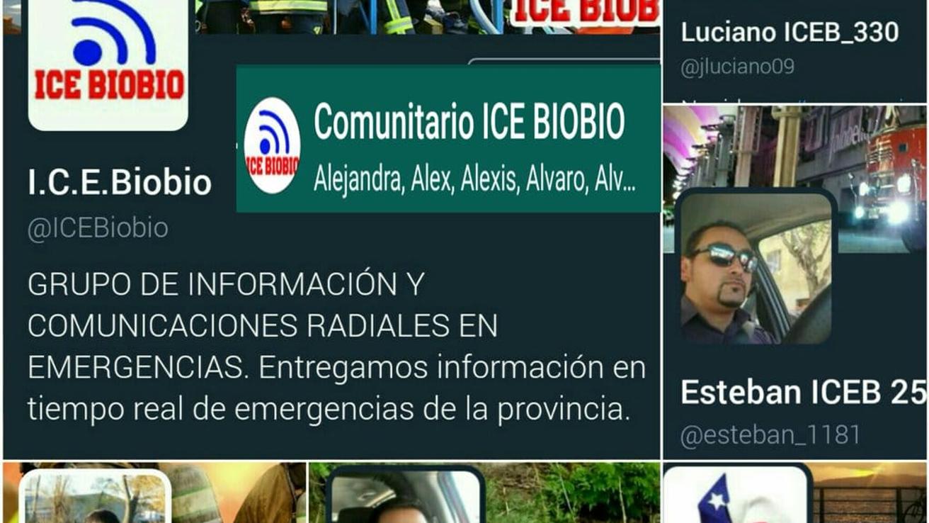 ENTREVISTA DM: Una red que cada vez suma más adeptos