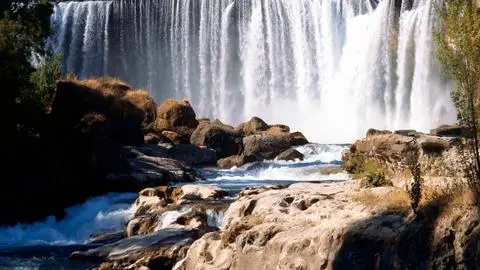 Los 5 artistas que darán vida a Rec en el Salto del Laja