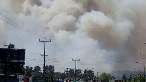 Lamentable! Distintos incendios forestales afectan al Gran Concepción