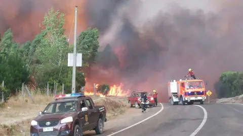 Van 4 detenidos acusados de iniciar incendios forestales en la Región del Biobío