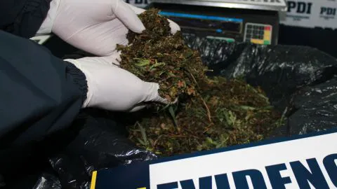 PDI CHILLÁN REDUJO DOS PUNTOS DE VENTA DE DROGAS
