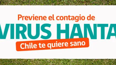 LLAMAN A EXTREMAR MEDIDAS PARA PREVENIR CONTAGIO DEL HANTA