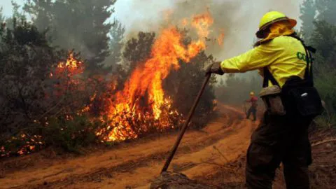 La drástica decisión preventiva de la CGE para evitar incendios forestales