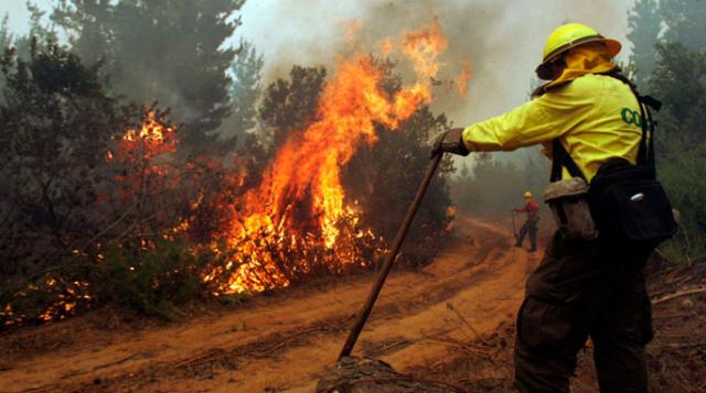 En un 54% han aumentado los incendios forestales en la Provincia de Concepción