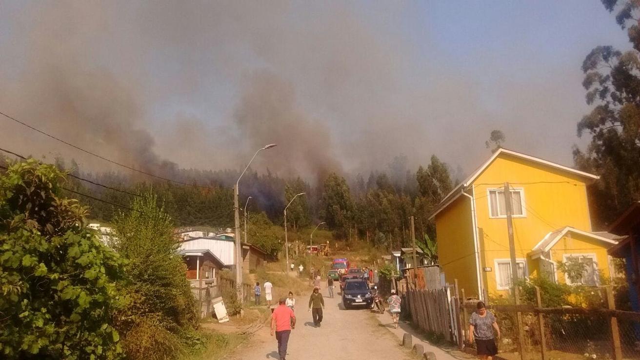 Más de 70 incendios forestales activos se mantienen en la Región del Biobío