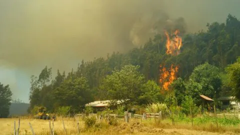 Decretan Alerta Temprana Preventiva regional ante posibilidad de incendios forestales