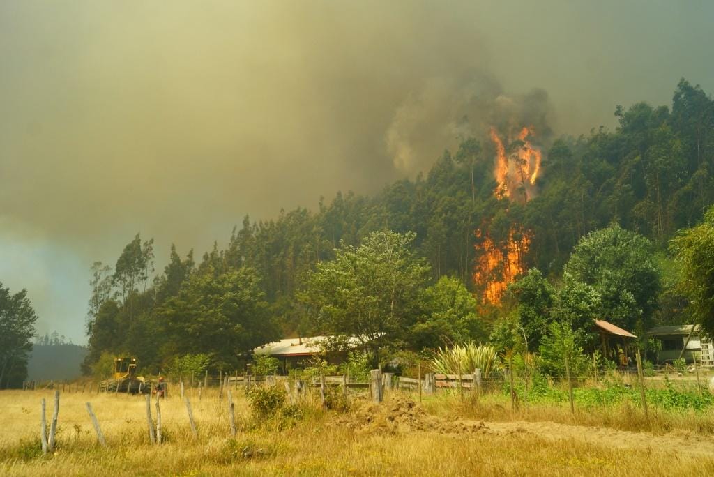 Corma denuncia que en la Provincia de Arauco se generan entre 8 a 10 incendios intencionales