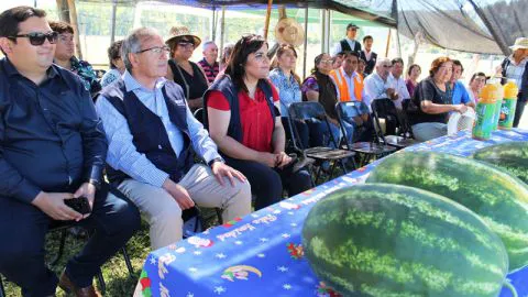 Conocen proyecto experimental de sandías en Santa Juana 