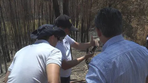 VIDEO| Se investiga qué responsabilidad pudo tener Frontel en incendio forestal en Chacay en Santa Juana