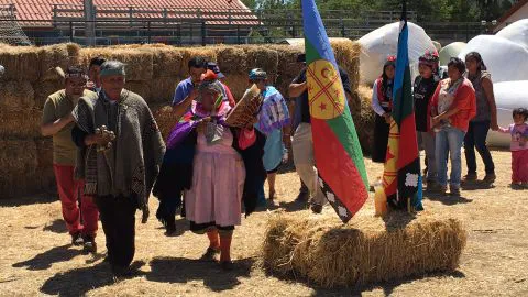 Comunidades mapuche donaron forraje y alimento para agricultores afectados por incendios forestales de Ñuble