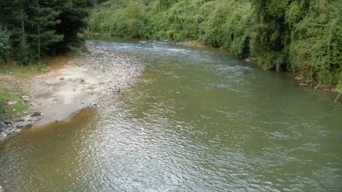 Niño de 8 años murió tras lanzarse un piquero en el río Ramadillas