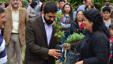 Talcahuano celebró el sexto aniversario del día de las vertientes