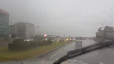 ¿Se adelanta el otoño en TropiConce?