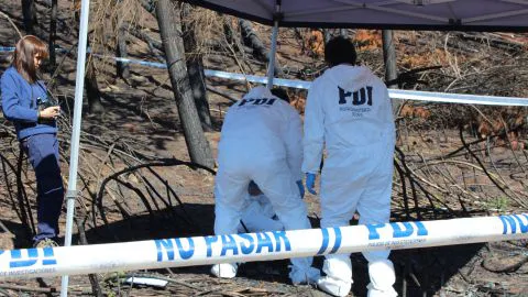 Osamentas fueron encontradas en sitio eriazo afectado por incendios forestales