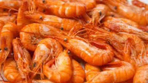 Emiten alerta alimentaria nacional por salmonella en camarón cocido