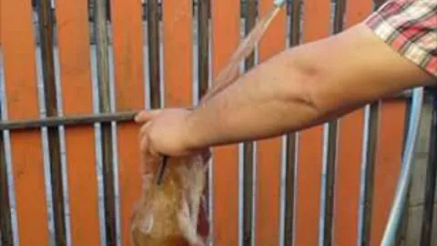 Vecinos cansados con el estado del agua que sale en Coronel