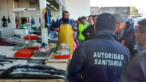 Se viene Semana Santa: Fiscalizan pescaderías de Vega Monumental
