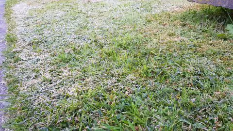 La temperatura más baja del año