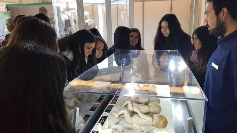 Bodies ya abrió sus puertas