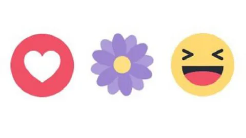La flor morada de Facebook revolucionó las redes sociales con memes