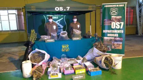 Tenían para todos sus nietos: abuelos cayeron con 30 kilos de marihuana