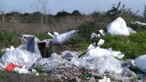 Denuncia de basurero ilegal en San Pedro de la Paz