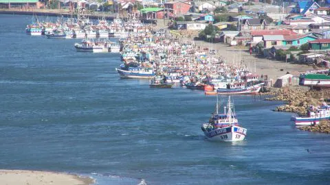Pescador sufre amputación de su pierna en el mar en cercanías de Lebu