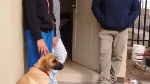 Menor fue amarrada en su casa por delincuentes que robaron hasta pasaporte de su madre