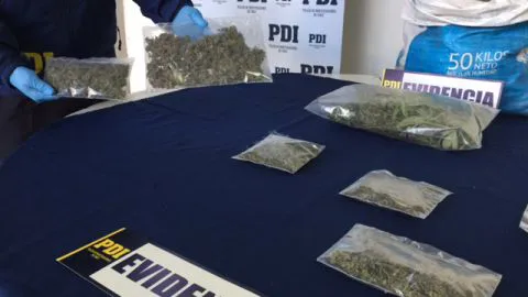 Instructor de capoeira fue detenido por cultivo de marihuana en Talcahuano