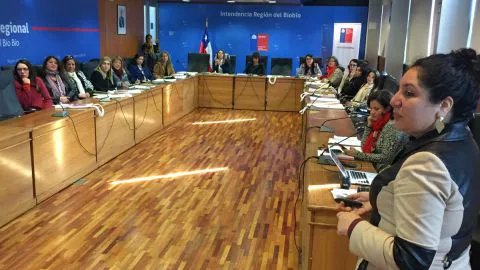 Plan de igualdad #Mujeres2030 espera más de 1000 participantes en la región del Biobío
