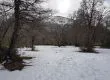 Se amplió alerta por nevazón en comunas cordilleranas