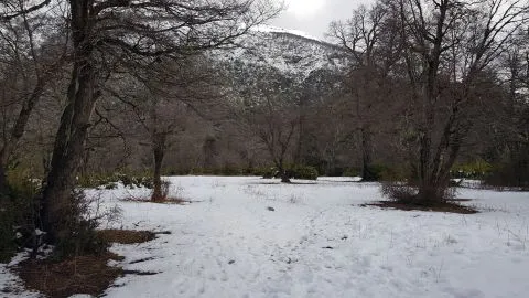 Se amplió alerta por nevazón en comunas cordilleranas