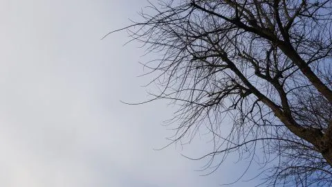 Misterioso ruido se escucha en la Araucanía