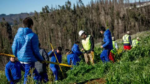 Proyecto “De Raíz” busca prevenir Incendios Forestales