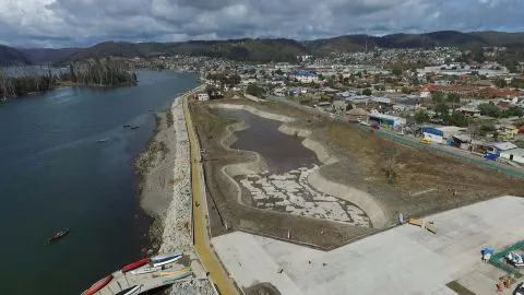 Proyecto pretende frenar tsunamis con árboles