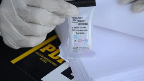 Detienen a padre e hijo en Chillán con droga avaluada en $55 millones de pesos