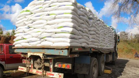 Ganaderos afectados por la nieve reciben alimento para sus animales
