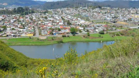 La nueva cara que tendrá la laguna Lo Galindo de Concepción
