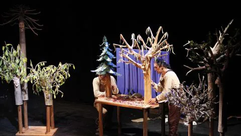Festival de Teatro del Biobío finaliza ciclo teatral en Arauco y Nacimiento