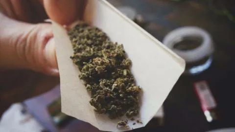Universitarios serán sometidos al primer estudio de consumo de drogas
