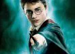 Saga de Harry Potter llevó a animal a tener peligro de extinción